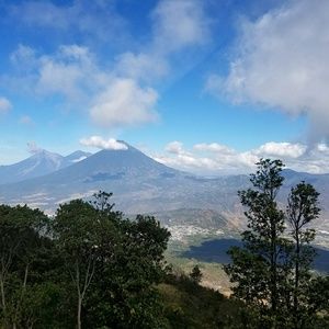 Meet your Posher, Cara